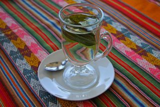 Mate de Coca