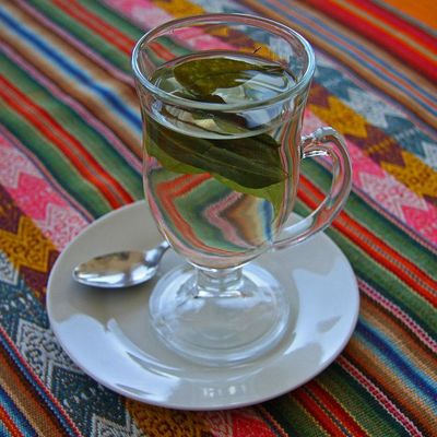 Mate De Coca