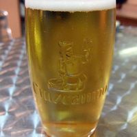 Cruzcampo Beer