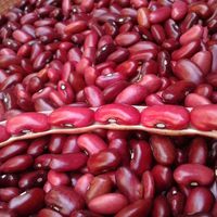 Frijoles Rojos