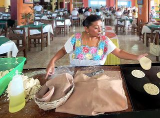 Tortilla Maker