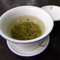 Green Tea