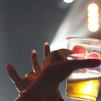 Super Bock Beer