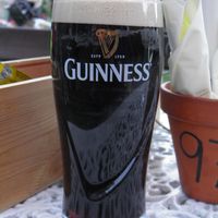 Guinness Draught Beer