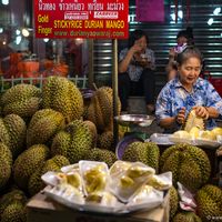 Durian