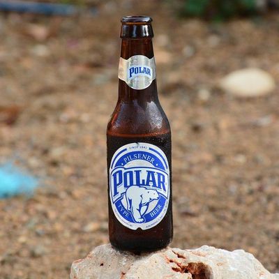 Polar Beer