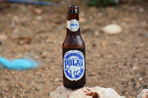 Polar beer enjoying the sun (Bonaire 2014)