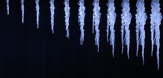 Very ripply and leggy icicle 11-tych