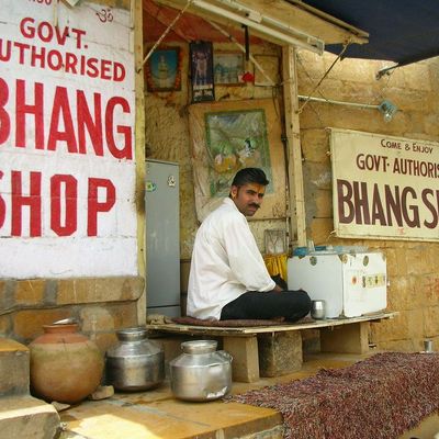 Bhang