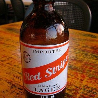 Red Stripe Beer