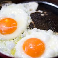 Fried Egg