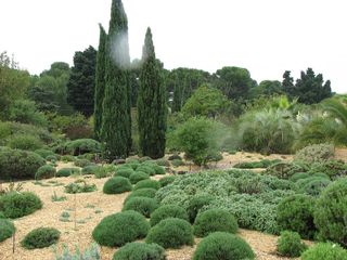 The trial garden at Pépinière Filippi (www.jardin-sec.com), Meze, France