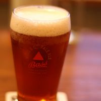 Pale Ale Beer
