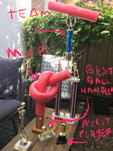 File:2017 Noodle Ball Trophies.jpg