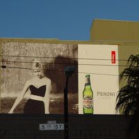 Peroni Beer