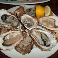 Raw Oysters