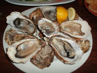 Raw oysters