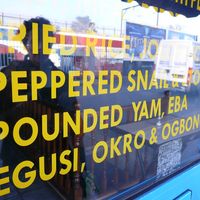 Pepper Snail