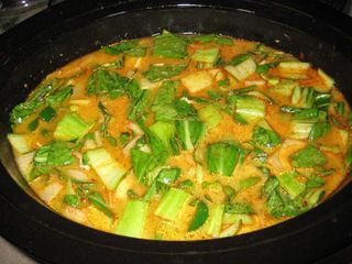 Thai soup w/ bok choy