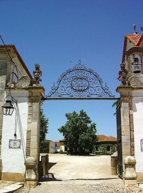Quinta da Broa - Azinhaga - Portugal
