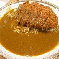 Tonkatsu Curry Rice