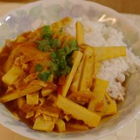 Bamboo Shoot Curry