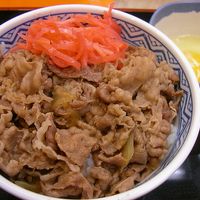 Gyudon