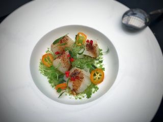 Drunken Diver Scallops: cucumber serrano ice, ancho chili sugar, preserved kumquat, Hendrick's gin spray