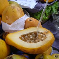 Maracuya