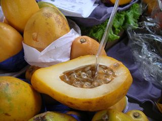 Maracujá, Maracuya, Passion Fruit, Fruta de la pasion.