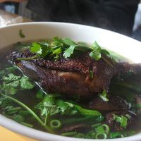 Duck Soup Noodles
