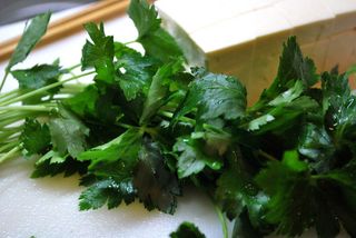 cryptotaenia japonica & tofu