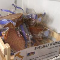Tuna Pot