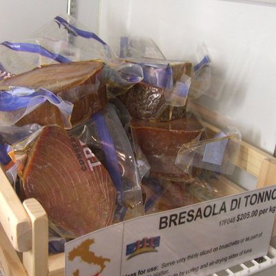 Tuna Pot