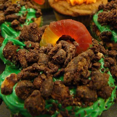 Meal Worm Cupcake