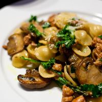 Orecchiette