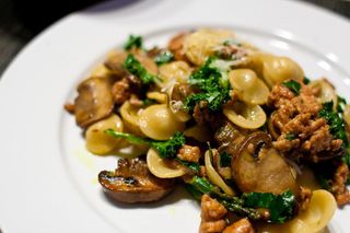 Orecchiette with sausage