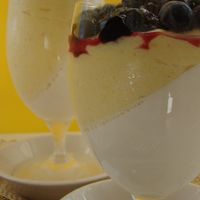 Mango Panna Cotta