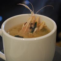 Soup Number 5