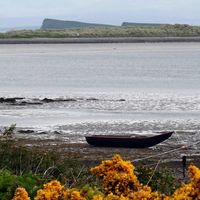 Curach