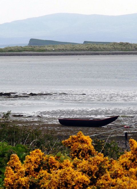 Mulrany 04 Curach