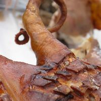 Barbecued Pigtail