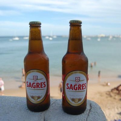 Sagres Beer