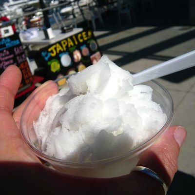 Yuzu Sorbet