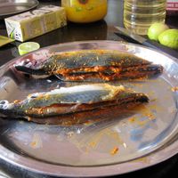 Recheado Masala Fish