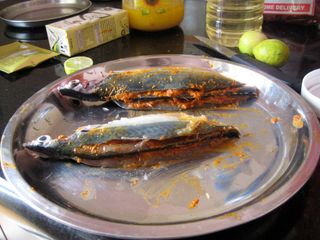 Week #3 - Mackerel Recheado