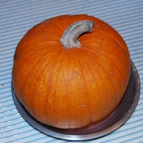 Sugar Pie Pumpkin