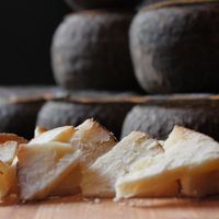 Cheese