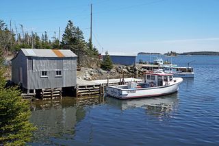 DSC00358 - Coddle's Harbour