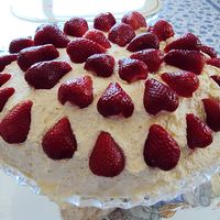 Pavlova